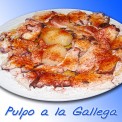 Plato-comida-andaluza-005